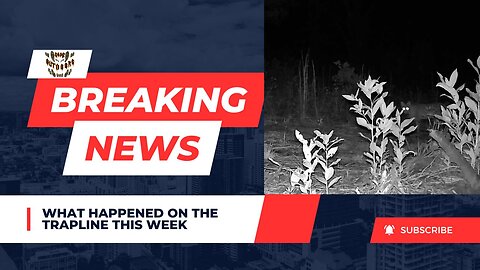 Outdoor News and Updates