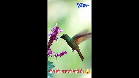 ये पक्षी असली नहीं है! 😲 #viral #shorts #youtubeshorts #gyan #tranding #ai