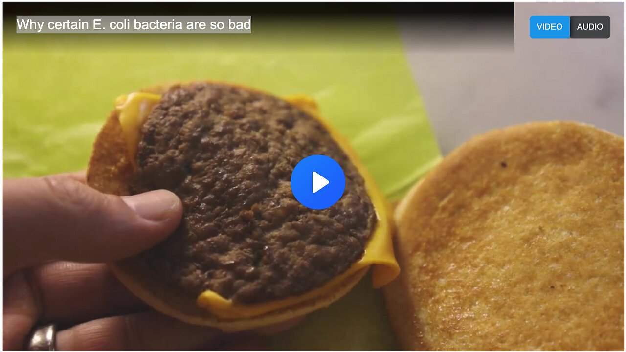 Why certain E. coli bacteria are so bad