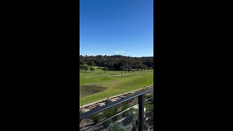 🛫 Dramatic Emergency Landing: Plane Crashes on Sydney Golf Course
