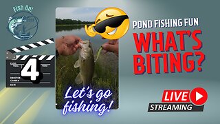 Fishing On the Go - Let's See What's Biting at School #mobile #fishing #livestream