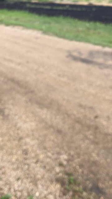 tim riding his mini bike #shorts