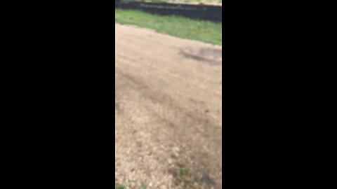 tim riding his mini bike #shorts