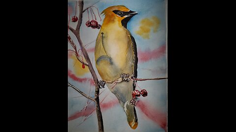 Waxwing Watercolor