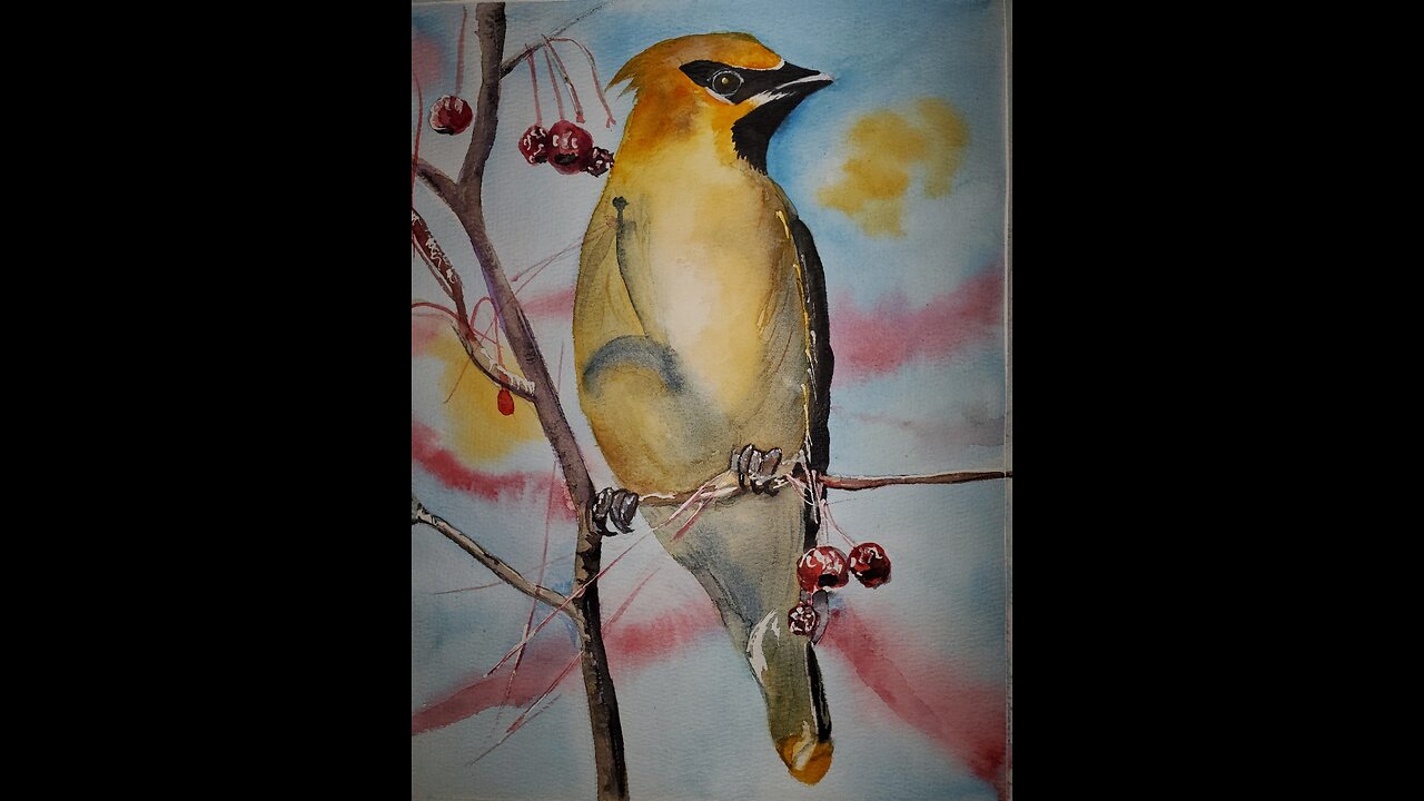 Waxwing Watercolor