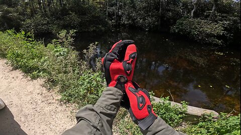Crossing Gator & Mosquito Lands