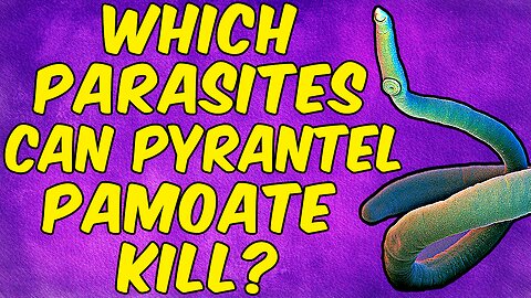 Which Parasites Can Pyrantel Pamoate Kill? - (Science Based)