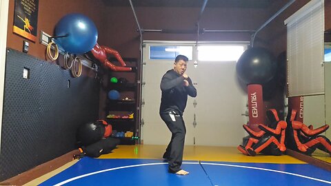 WTD 2 Step Kick Combination 95