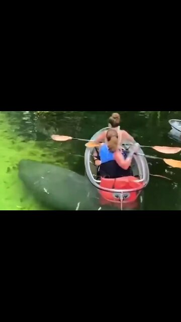 HOW TO RECEIVE GOD'S GUIDANCE - DAILY DEVOTIONAL ❤️