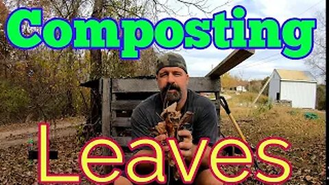 Composting Leaves - Leaf mold