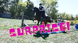 They Went STRAIGHT To CANTERIING Jumps!