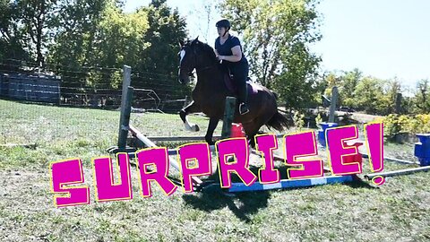 They Went STRAIGHT To CANTERIING Jumps!