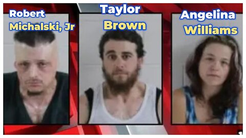 Undetected Footprints of Angelina Williams! She handcuffed her son while a dog attacked him!