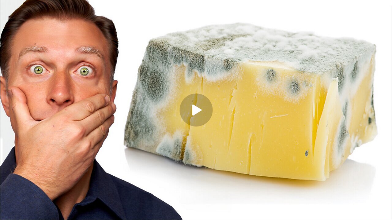 Can MOLD and Fungus Be Good for You?