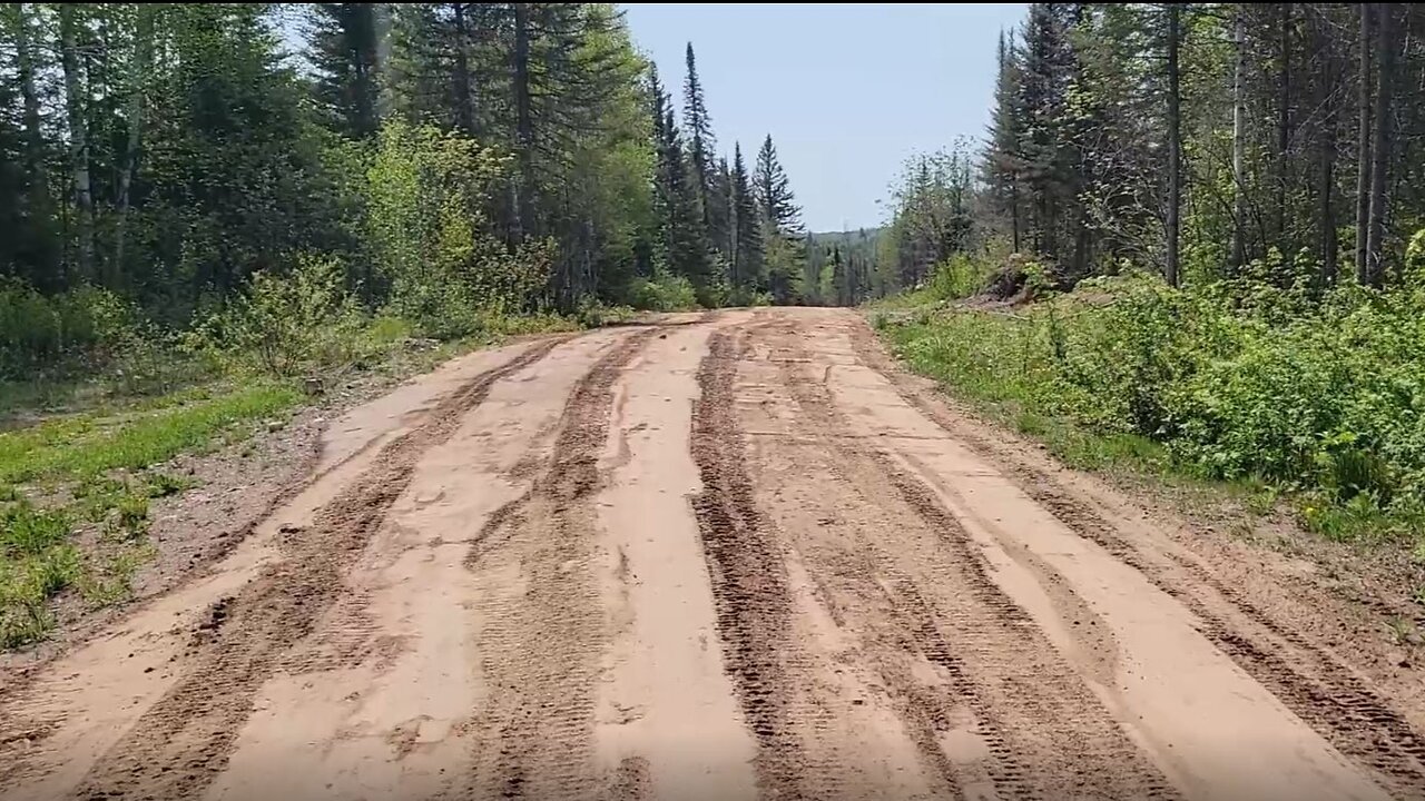 Spring Driveway Cleanup