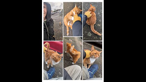 Sunday Morning Prema, November 23rd 2025