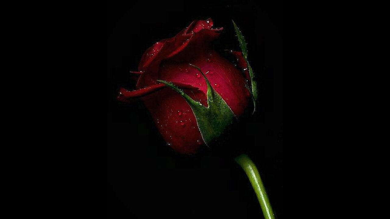 KILIÇLAR ÇEKİLDİ! GERİ DÖNÜŞ YOK!