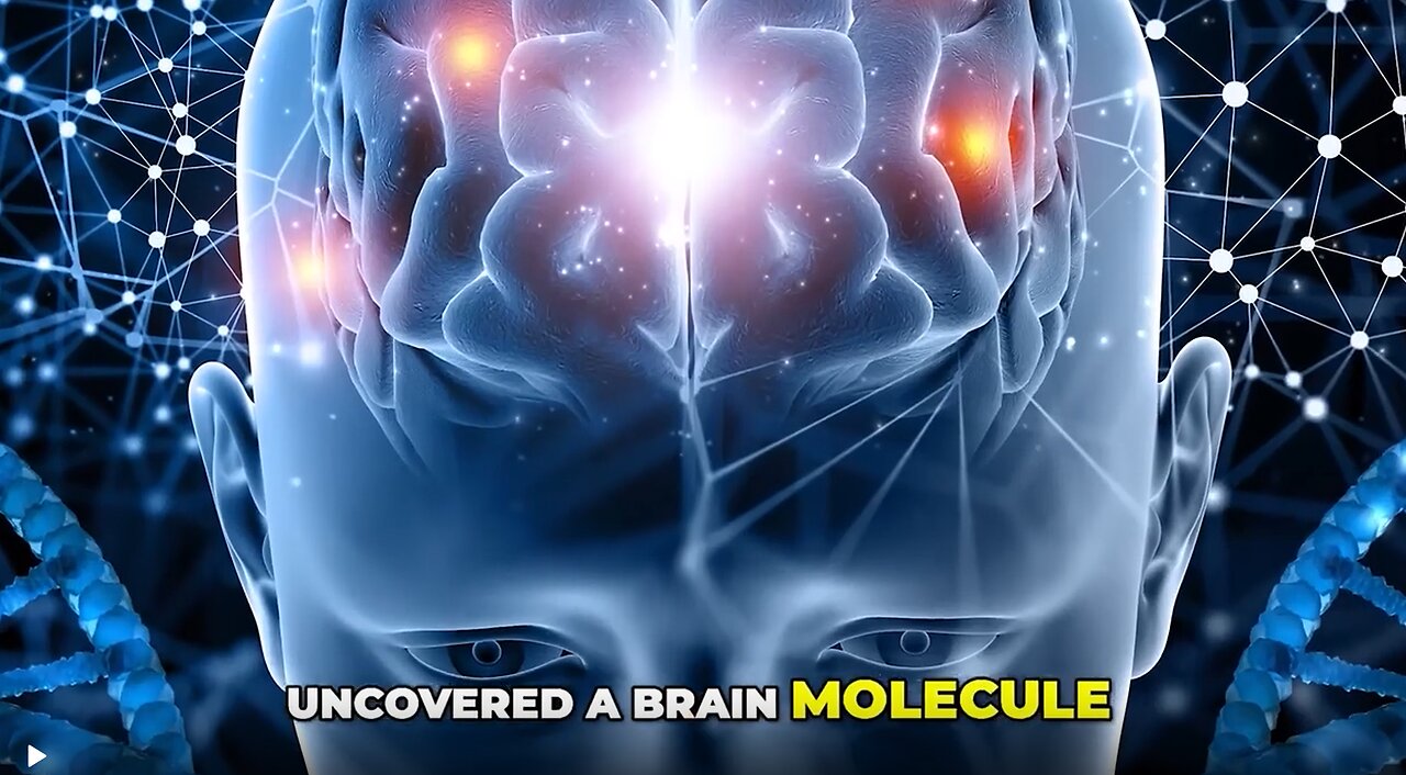 This “Missing Enzyme” Is Wiping Your Memory Clean