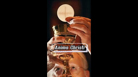 ANIMA CHRISTI