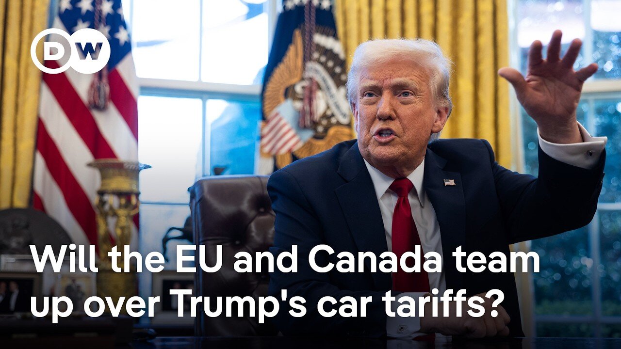 Ex-EU trade chief says Trump's car tariffs will hurt Americans too | DW News