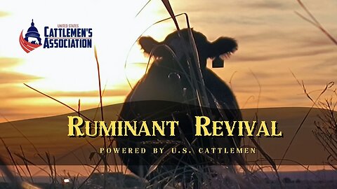 Trent on the Loos Marc 13, 2025 Ruminat Revival lets talk cow feed.