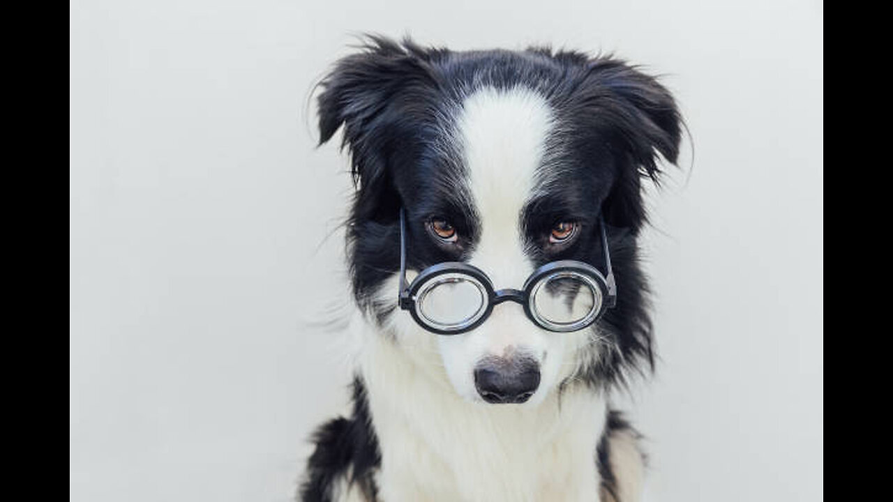 Intelligent interest
