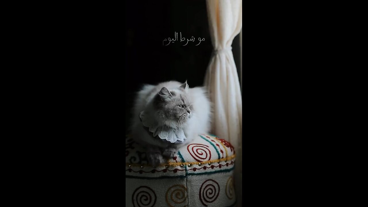 تنفس