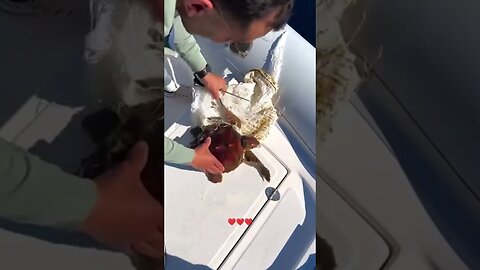 The man saved the turtle in the sea which got confused in the trash
