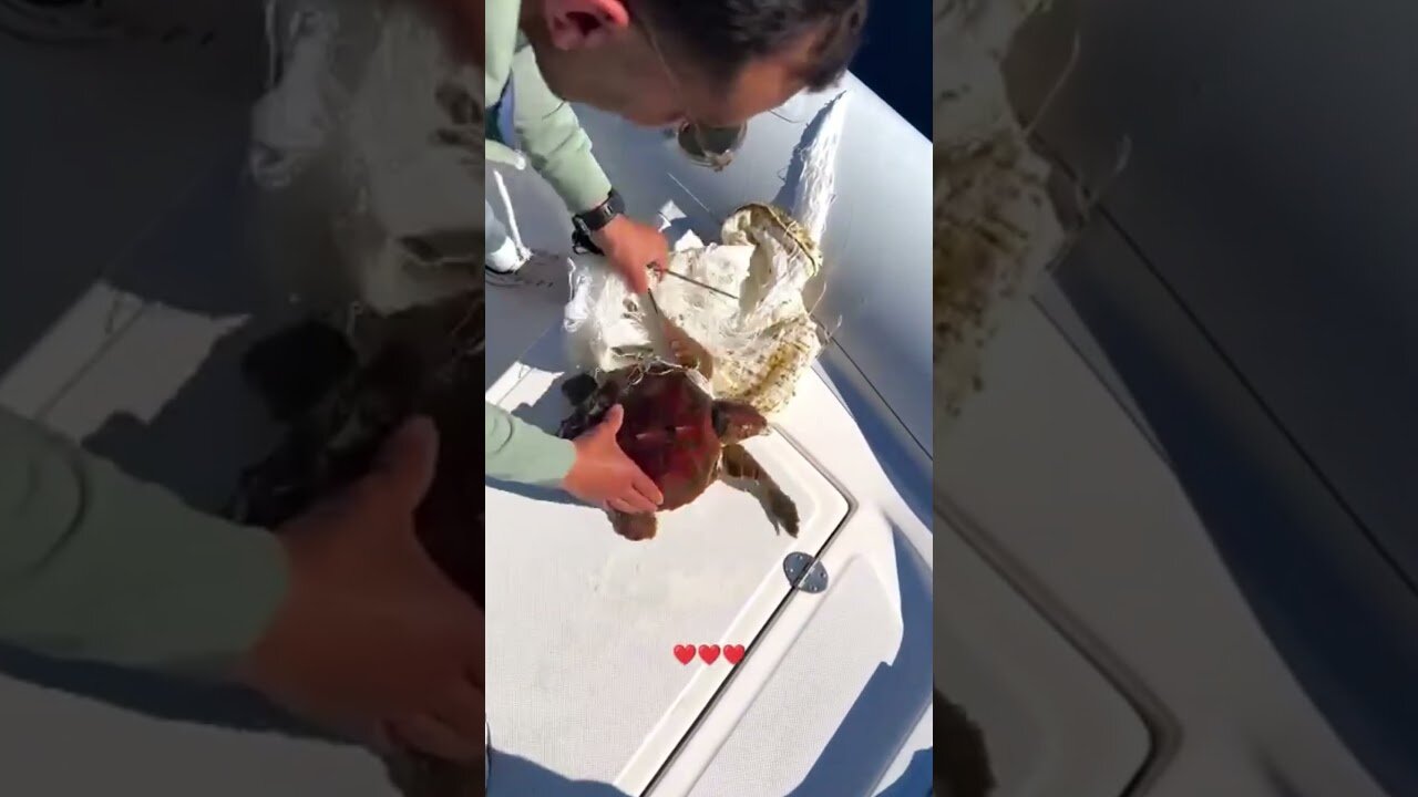 The man saved the turtle in the sea which got confused in the trash