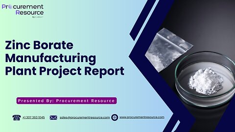 Zinc Borate Manufacturing Plant Project Report