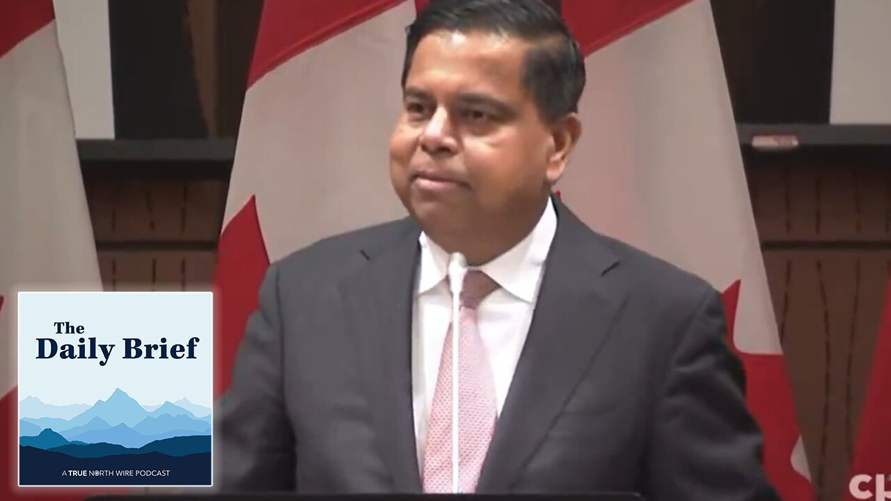 Minister downplays police's role in federal gun grab