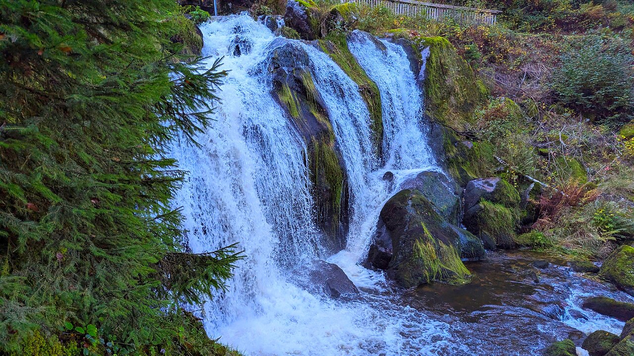 Visiting Triberg Waterfalls 🇩🇪 (2025-10)