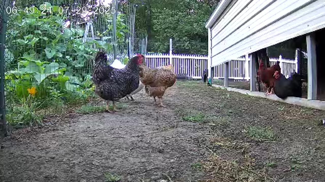Morning Routine!