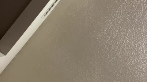 J Zilla will destroy his Ops