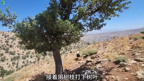 Night Drive To The Mountain | Nomad Remix Road Trip