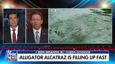 Governor Ron DeSantis responds to ILLEGALS COMPLAINING mosquitoes at Alligator Alcatraz