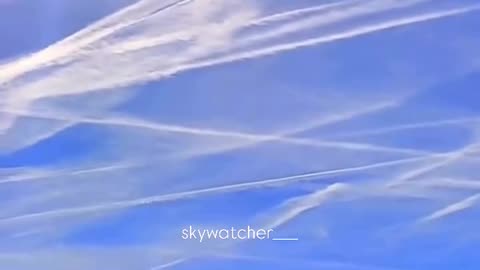 Rothschild BlackRock WEF Power...