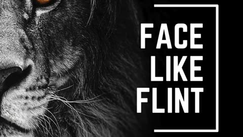 Face Like Flint