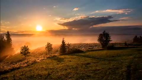 Heavenly Beautiful Relaxing Music 🎻Sleep