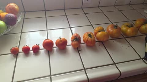 Tomatoe Solar System (August 31, 2025)