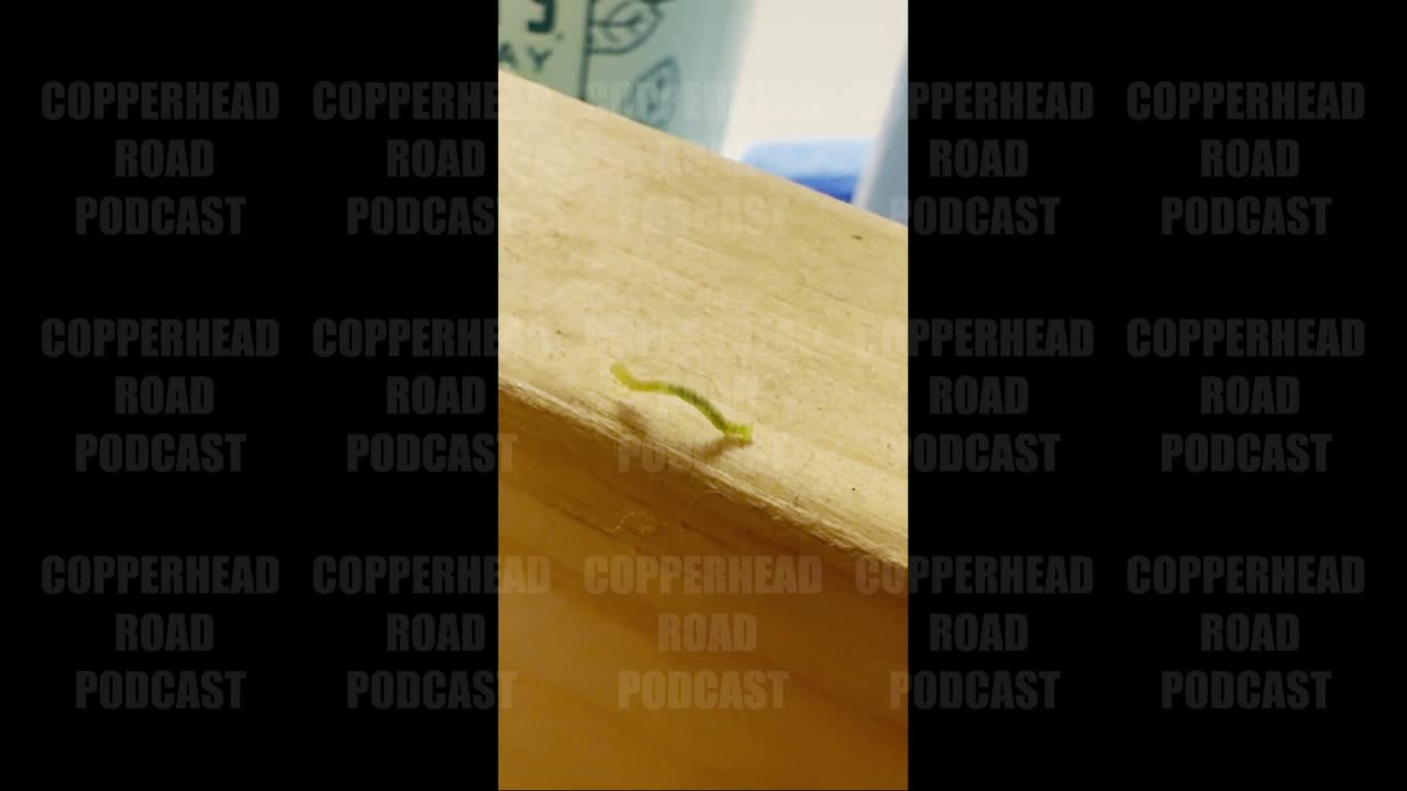 WE ARE ALL INCHWORM