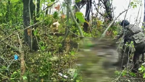 Ukrainians Clearing Forest Strip Near Village of Rusyn Yar, Donetsk Region
