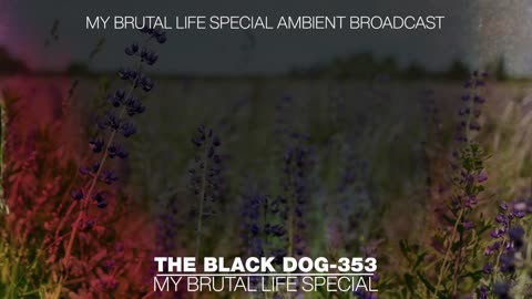 Sleep Deprivation : Join Us In Our Brutal Ambience