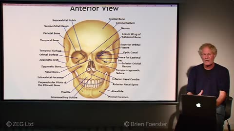 Elongated Skull Phenomenon: Global Presence, DNA Analysis, Blood Type Anomalies