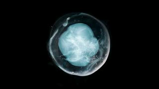 A WINGED VICTORY FOR THE SULLEN - The Undivided Five