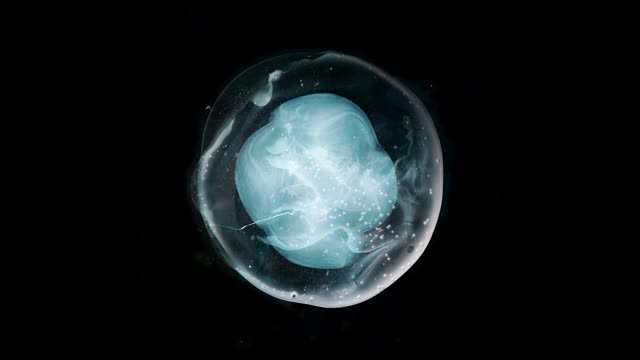 A WINGED VICTORY FOR THE SULLEN - The Undivided Five