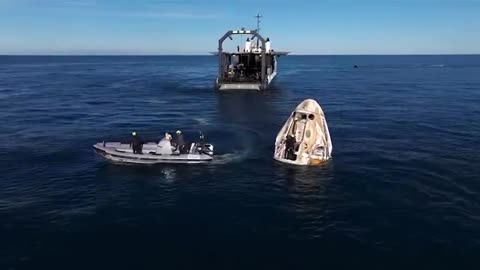 Dolphins welcomed SpaceX Dragon & NASA astronauts back to Earth🐬