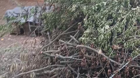 BURN PILE