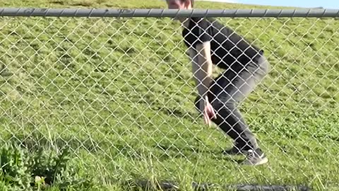 How Animals Get Over a Fence