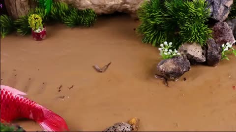 The Weirdest Stop Motion ASMR - KOI, Frogs & Mud Compilation